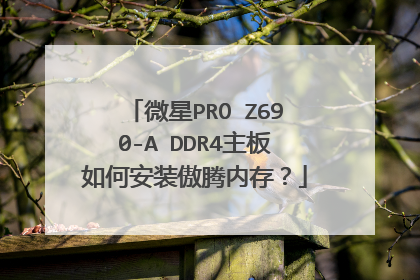 微星PRO Z690-A DDR4主板如何安装傲腾内存?