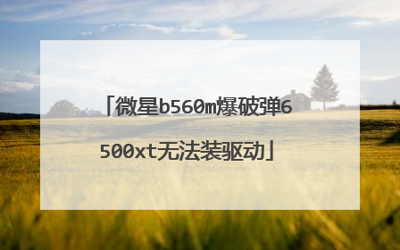 微星b560m爆破弹6500xt无法装驱动