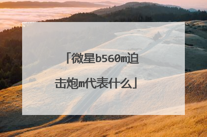 微星b560m迫击炮m代表什么