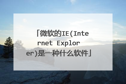 微软的IE(Internet Explorer)是一种什么软件