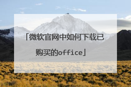 微软官网中如何下载已购买的office
