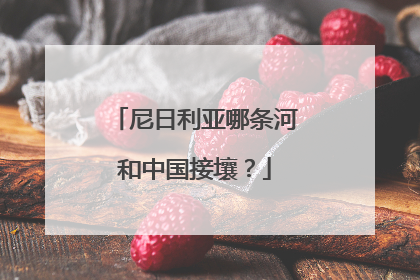 尼日利亚哪条河和中国接壤?