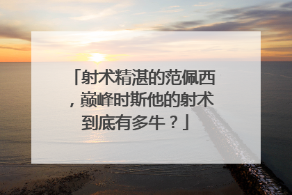 射术精湛的范佩西，巅峰时斯他的射术到底有多牛？