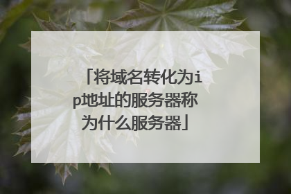 将域名转化为ip地址的服务器称为什么服务器