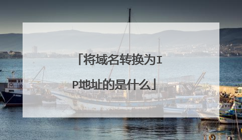 将域名转换为IP地址的是什么