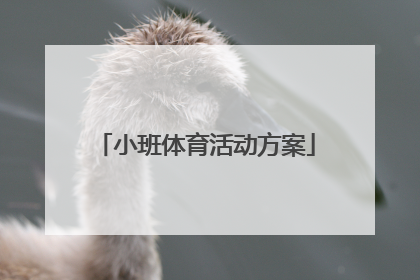 小班体育活动方案