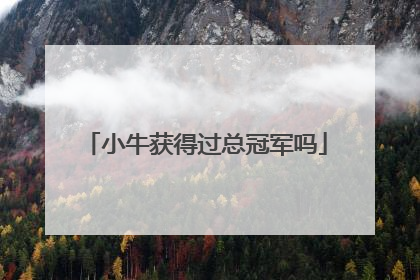小牛获得过总冠军吗