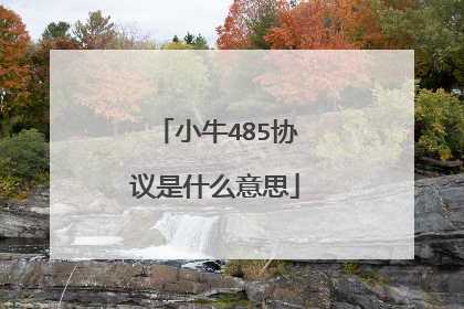 小牛485协议是什么意思