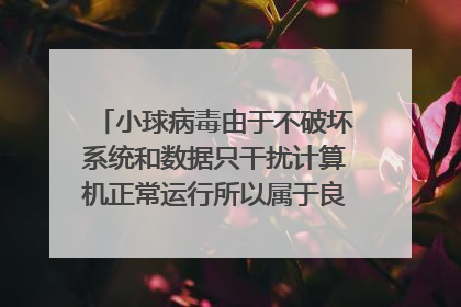 小球病毒由于不破坏系统和数据只干扰计算机正常运行所以属于良性病毒是正确的?