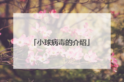 小球病毒的介绍