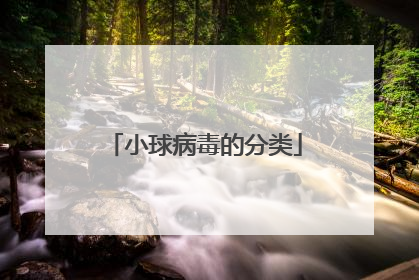 小球病毒的分类
