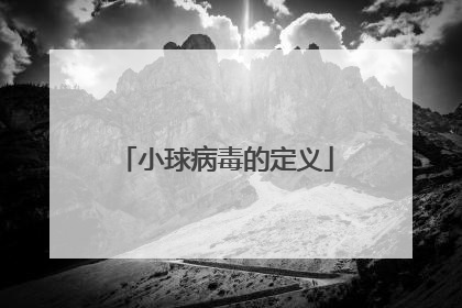 小球病毒的定义