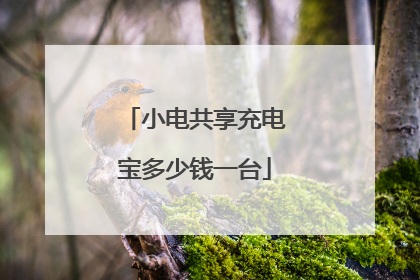小电共享充电宝多少钱一台