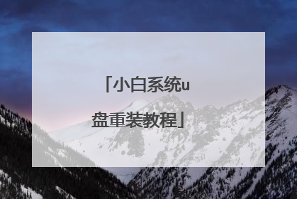 小白系统u盘重装教程