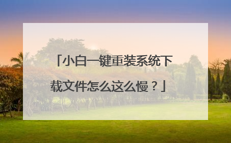 小白一键重装系统下载文件怎么这么慢?