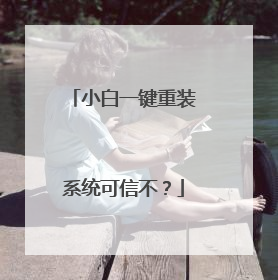 小白一键重装系统可信不?