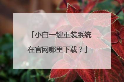小白一键重装系统在官网哪里下载?
