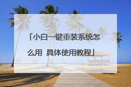 小白一键重装系统怎么用 具体使用教程