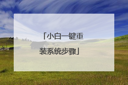 小白一键重装系统步骤