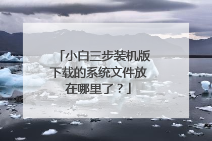 小白三步装机版下载的系统文件放在哪里了?
