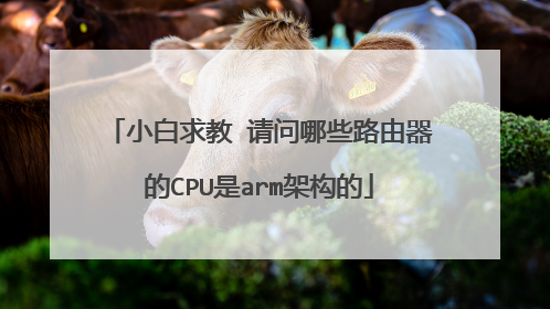 小白求教 请问哪些路由器的CPU是arm架构的