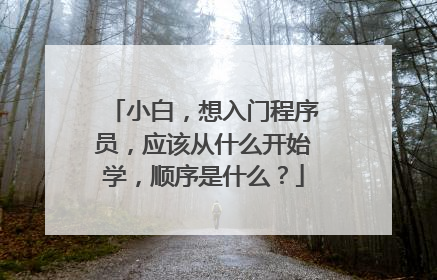 小白,想入门程序员,应该从什么开始学,顺序是什么?
