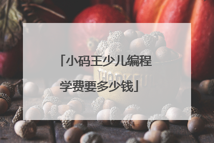 小码王少儿编程学费要多少钱