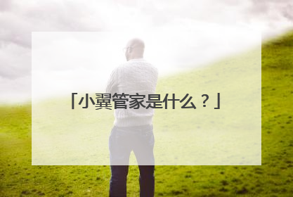 小翼管家是什么?