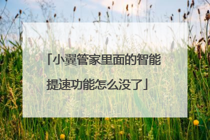 小翼管家里面的智能提速功能怎么没了