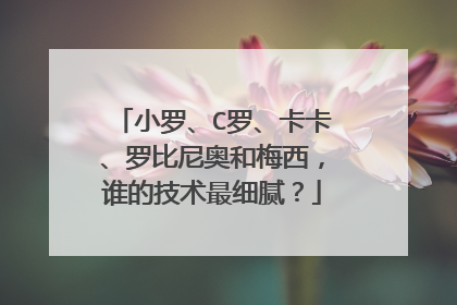 小罗、C罗、卡卡、罗比尼奥和梅西，谁的技术最细腻？