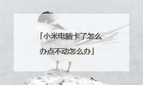 小米电脑卡了怎么办点不动怎么办