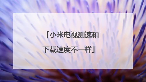 小米电视测速和下载速度不一样