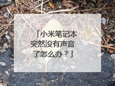 小米笔记本突然没有声音了怎么办?