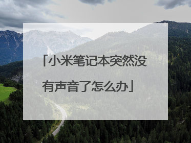小米笔记本突然没有声音了怎么办