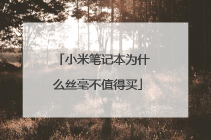 小米笔记本为什么丝毫不值得买