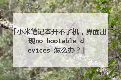 小米笔记本开不了机,界面出现no bootable devices 怎么办?
