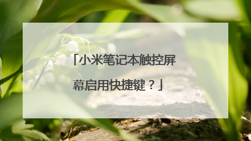 小米笔记本触控屏幕启用快捷键?