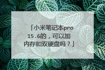 小米笔记本pro15.6的，可以加内存和双硬盘吗？