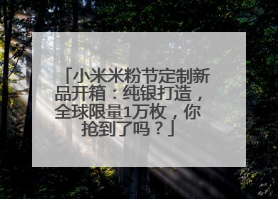 小米米粉节定制新品开箱：纯银打造，全球限量1万枚，你抢到了吗？