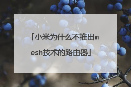 小米为什么不推出mesh技术的路由器