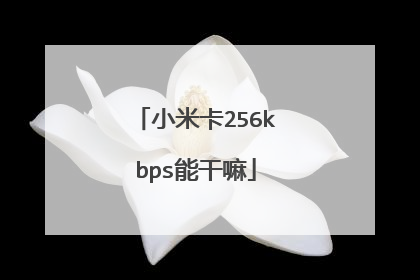 小米卡256kbps能干嘛