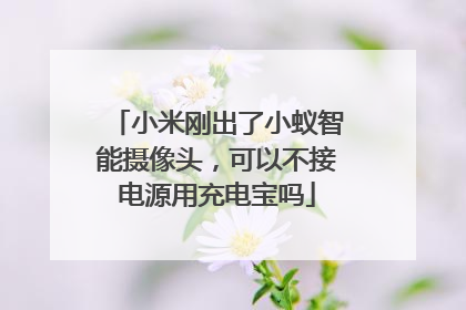 小米刚出了小蚁智能摄像头,可以不接电源用充电宝吗