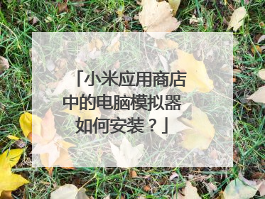 小米应用商店中的电脑模拟器如何安装?