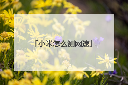 小米怎么测网速