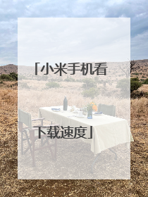 小米手机看下载速度