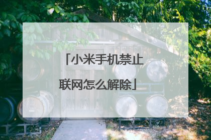 小米手机禁止联网怎么解除