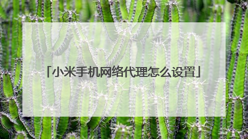 小米手机网络代理怎么设置