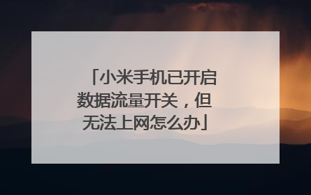 小米手机已开启数据流量开关,但无法上网怎么办