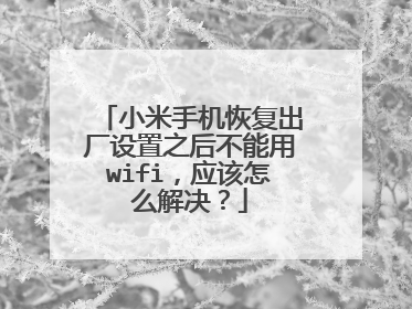 小米手机恢复出厂设置之后不能用wifi,应该怎么解决?