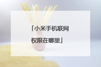 小米手机联网权限在哪里